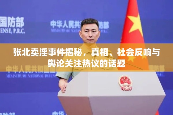 张北卖淫事件揭秘,真相、社会反响与舆论关注热议的话题