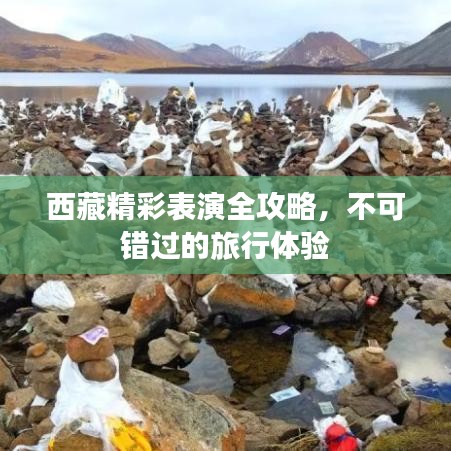 西藏精彩表演全攻略,不可错过的旅行体验