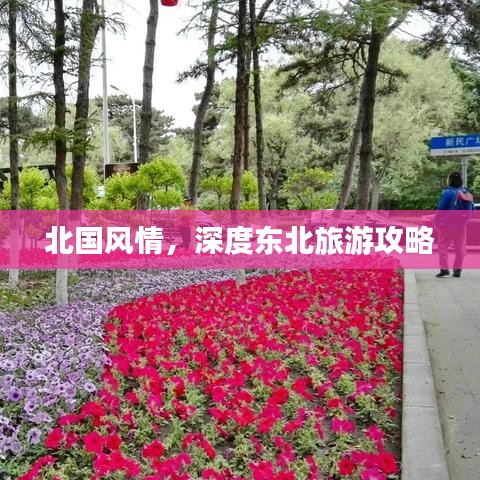 北国风情,深度东北旅游攻略
