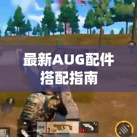最新AUG配件搭配指南