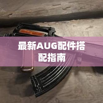 最新AUG配件搭配指南