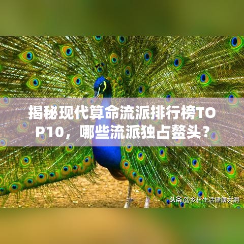 揭秘现代算命流派排行榜TOP10,哪些流派独占鳌头?