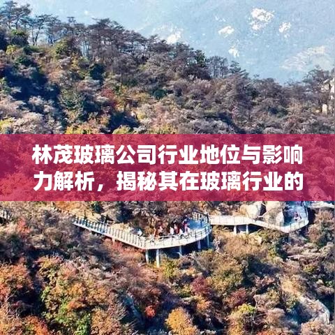 林茂玻璃公司行业地位与影响力解析,揭秘其在玻璃行业的排名与影响力