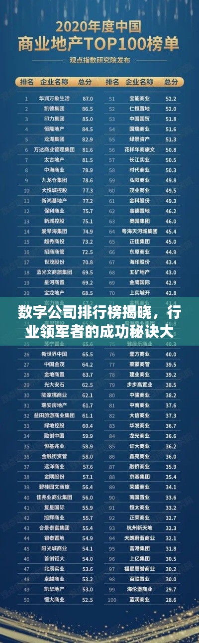 数字公司排行榜揭晓,行业领军者的成功秘诀大揭秘!