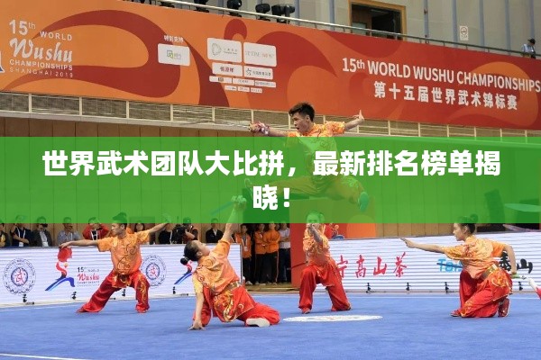 世界武术团队大比拼,最新排名榜单揭晓!