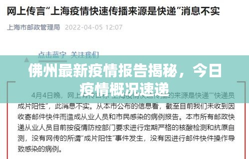 佛州最新疫情报告揭秘,今日疫情概况速递