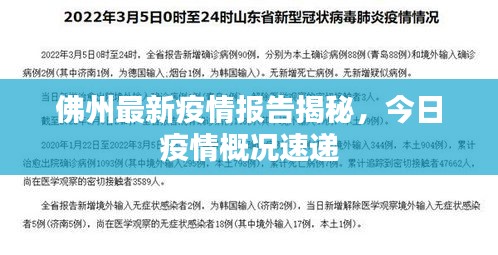 佛州最新疫情报告揭秘,今日疫情概况速递