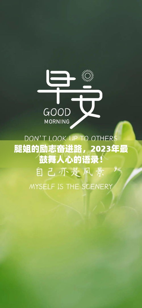 腿姐的励志奋进路,2023年最鼓舞人心的语录!