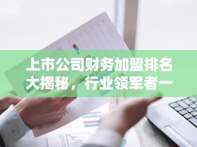 上市公司财务加盟排名大揭秘，行业领军者一览无遗