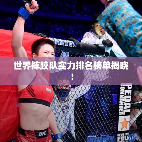 世界摔跤队实力排名榜单揭晓！
