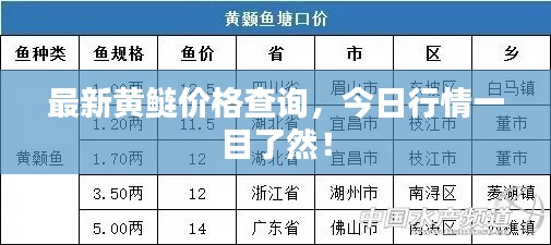 最新黄鲢价格查询,今日行情一目了然!