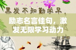 励志名言佳句,激发无限学习动力!