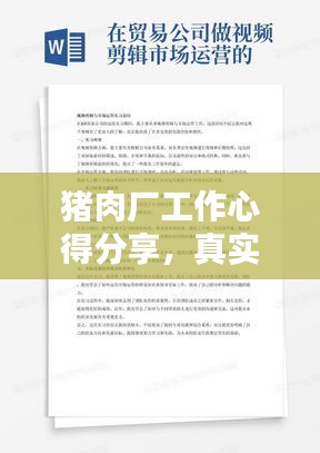 猪肉厂工作心得分享，真实体验与感悟