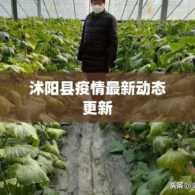 沭阳县疫情最新动态更新
