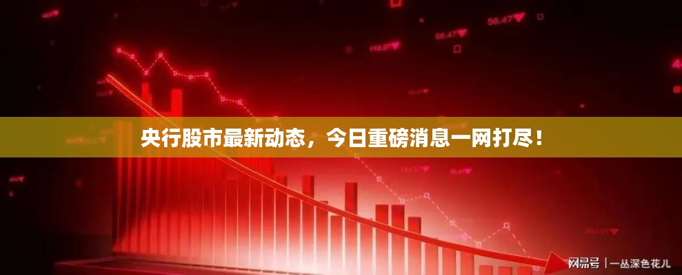 央行股市最新动态,今日重磅消息一网打尽!