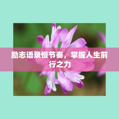 励志语录慢节奏,掌握人生前行之力