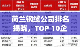 荷兰钢缆公司排名揭晓,TOP 10企业榜单重磅出炉!