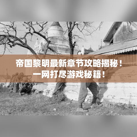 帝国黎明最新章节攻略揭秘!一网打尽游戏秘籍!