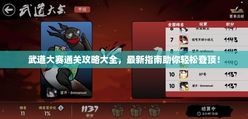 武道大赛通关攻略大全,最新指南助你轻松登顶!