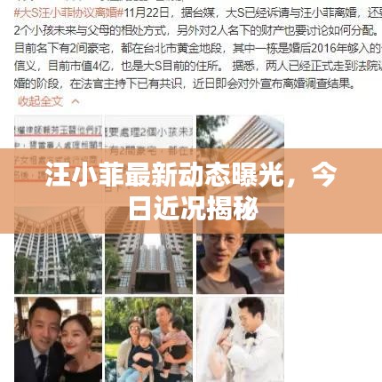 汪小菲最新动态曝光,今日近况揭秘