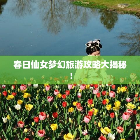 春日仙女梦幻旅游攻略大揭秘!