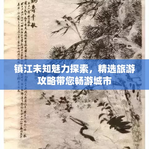 展翅高飞 第4页