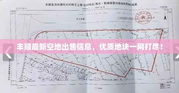 丰顺最新空地出售信息，优质地块一网打尽！