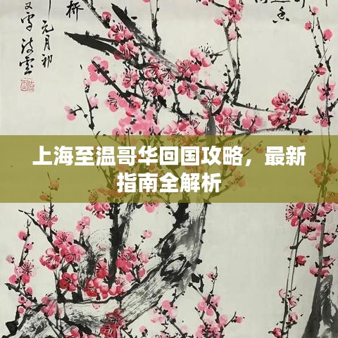上海至温哥华回国攻略,最新指南全解析