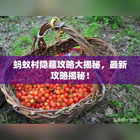 蚂蚁村隐藏攻略大揭秘,最新攻略揭秘!