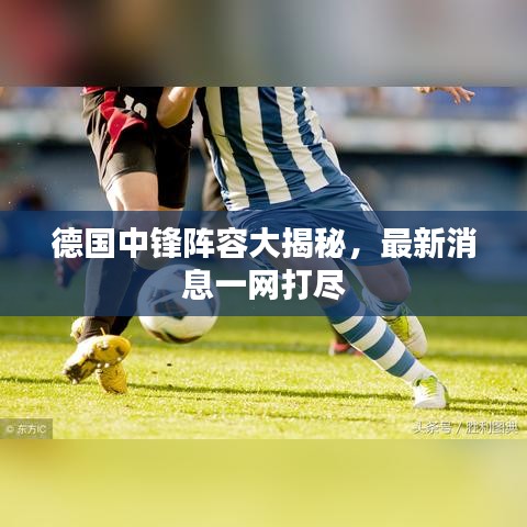 德国中锋阵容大揭秘,最新消息一网打尽