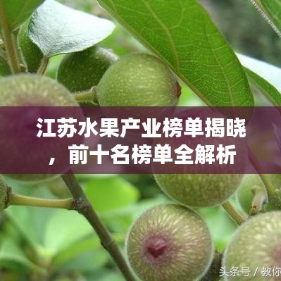 江苏水果产业榜单揭晓,前十名榜单全解析