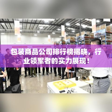 包装商品公司排行榜揭晓,行业领军者的实力展现!