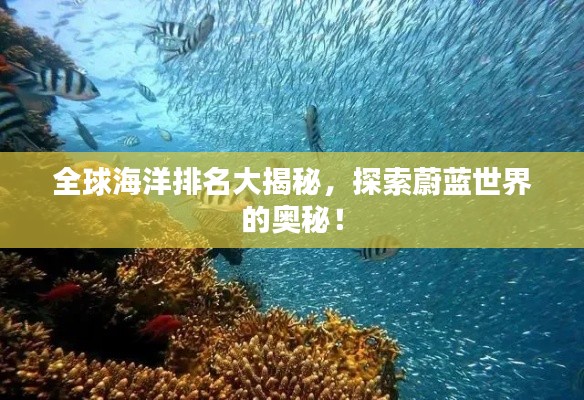 全球海洋排名大揭秘,探索蔚蓝世界的奥秘!