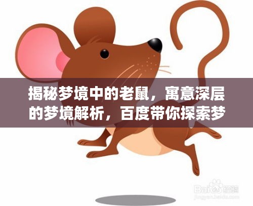 揭秘梦境中的老鼠,寓意深层的梦境解析,百度带你探索梦境奥秘!
