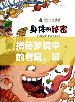 揭秘梦境中的老鼠,寓意深层的梦境解析,百度带你探索梦境奥秘!