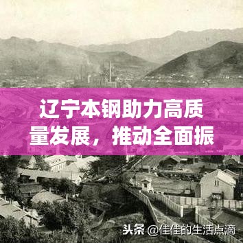 比张比李 第3页