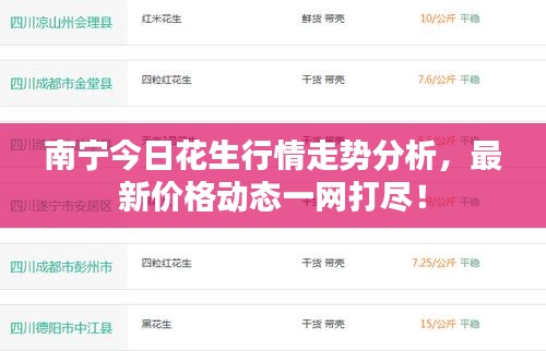 南宁今日花生行情走势分析，最新价格动态一网打尽！