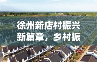 徐州新店村振兴新篇章,乡村振兴新闻头条