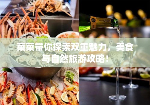 菜菜带你探索双重魅力，美食与自然旅游攻略！