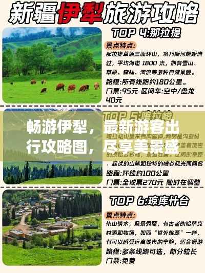 畅游伊犁，最新游客出行攻略图，尽享美景盛宴