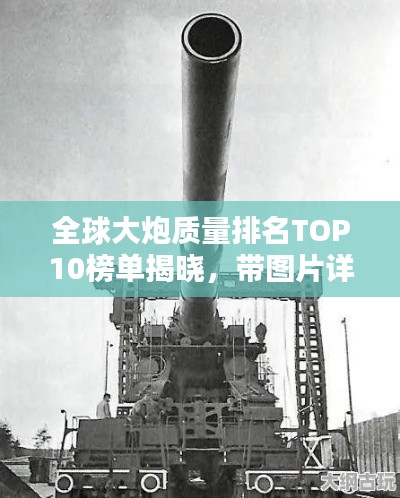 全球大炮质量排名TOP10榜单揭晓,带图片详解