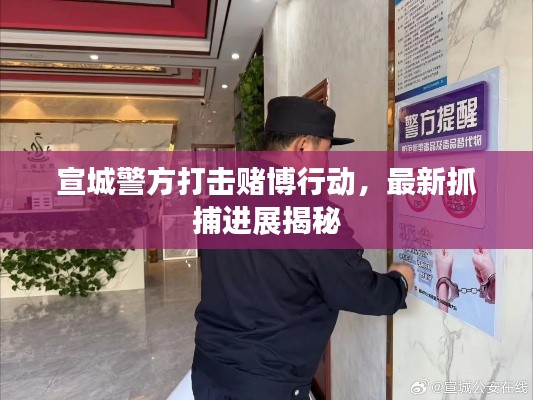宣城警方打击赌博行动,最新抓捕进展揭秘