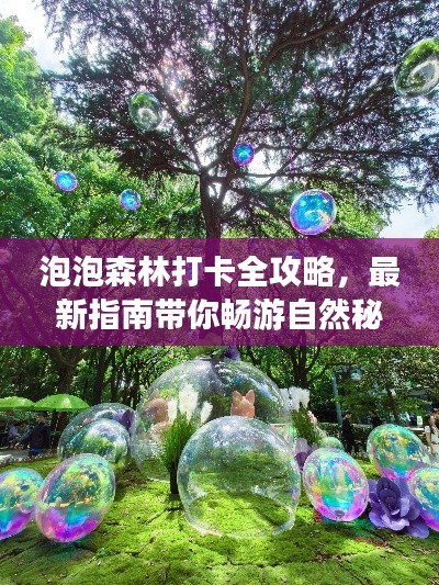 泡泡森林打卡全攻略，最新指南带你畅游自然秘境！