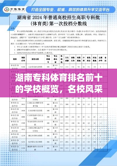 湖南专科体育排名前十的学校概览,名校风采一览无余