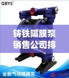 铸铁隔膜泵销售公司排行榜及行业影响力解析