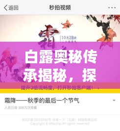 矫揉造作 第4页