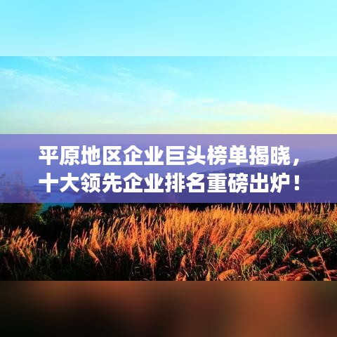 平原地区企业巨头榜单揭晓，十大领先企业排名重磅出炉！