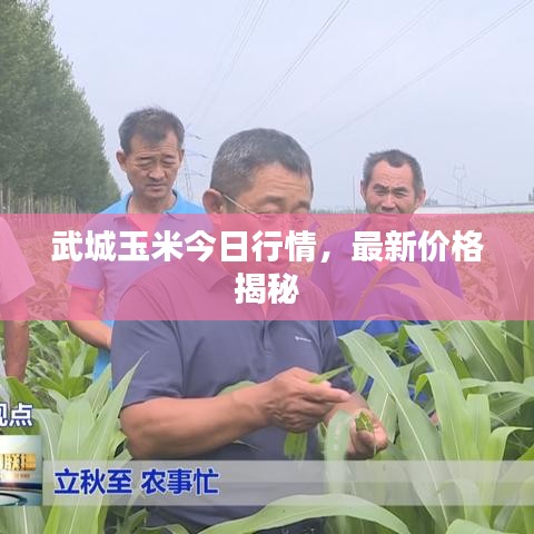 沉灶生蛙 第3页