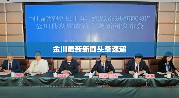 金川最新新闻头条速递