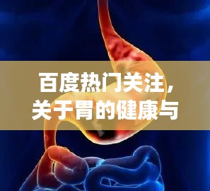 百度热门关注，关于胃的健康与疾病，你需要知道的一切！